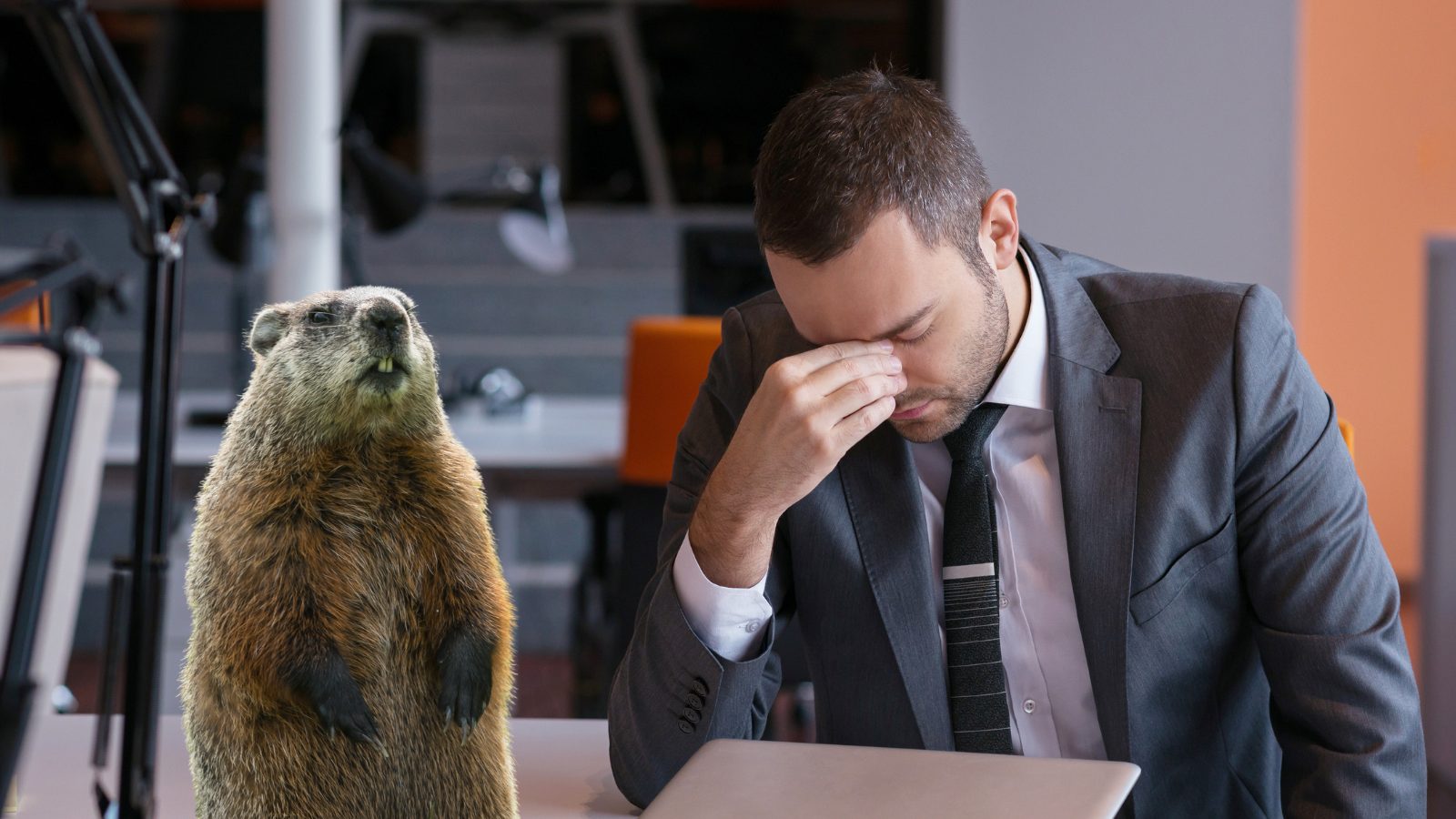Do You Suffer from Groundhog Day Syndrome?